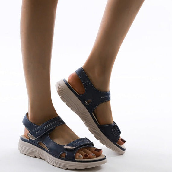 Bleu / 39.5